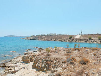 Κινητοποίηση της Ομογένειας για να βοηθηθεί η 16χρονη Μυρτώ